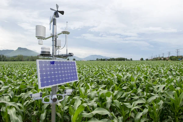 Meteorologická Stanice Kukuřičném Poli Technologie Inteligentním Zemědělským Konceptem — Stock fotografie