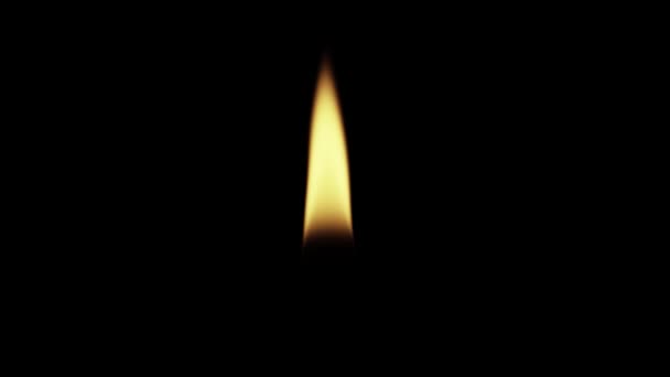 Candle Flames Black Background — Stock Video