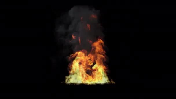Výbuch Pozemního Ohně Černém Pozadí Alfa Kanálem — Stock video
