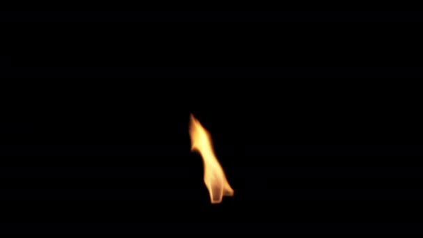 Zápas Požární Osvětlení Černém Pozadí — Stock video