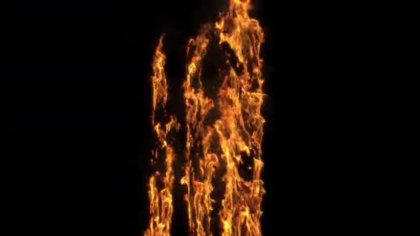 Oheň Hoří Kufr Černém Pozadí — Stock video