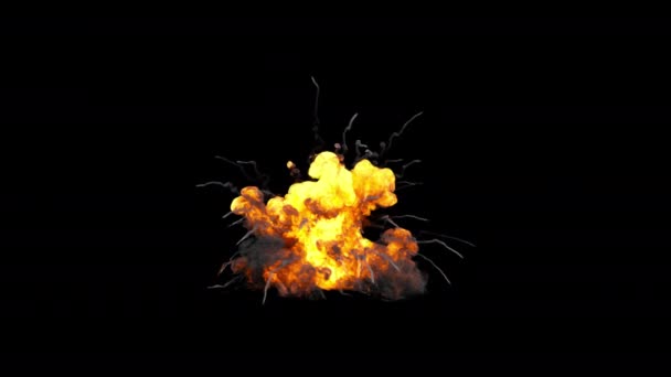 Fuoco Esplosione Sfondo Nero Con Canale Alfa — Video Stock
