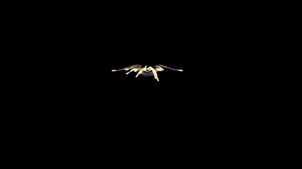 Animație Antirachetă Teren Negru — Videoclip de stoc