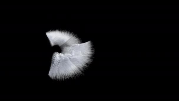 Nube Cirrus Concepto Animación Renderizar — Vídeos de Stock