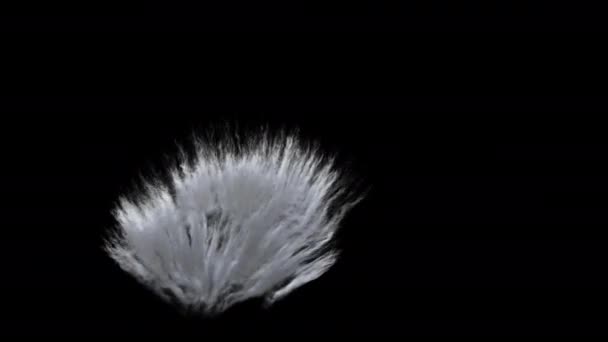 Nube Cirrus Concepto Animación Renderizar — Vídeos de Stock