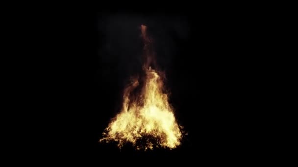Siyah Arka Planda Yerde Büyük Şenlik Ateşi — Stok video