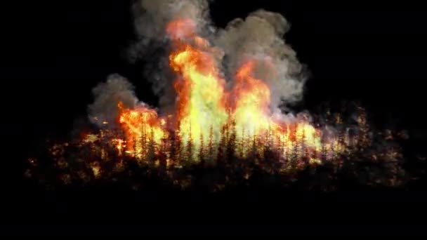 Wildfire Hoří Černém Pozadí — Stock video
