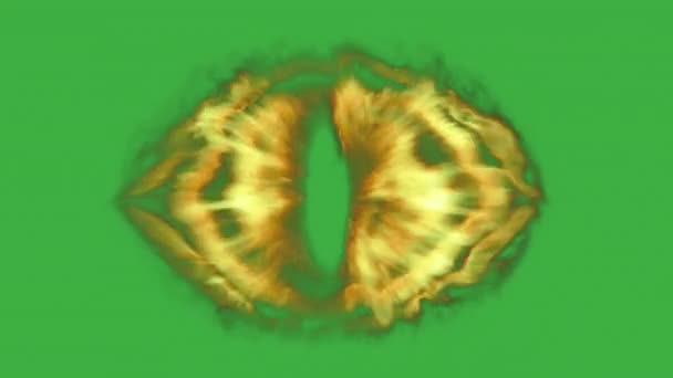 绿色背景上的火眼 — 图库视频影像