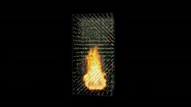 Hitzekarten Simulation Mit Feuerexplosion — Stockvideo