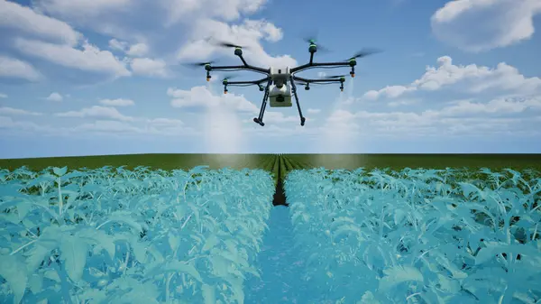 农业无人机使用激光雷达扫描在番茄田上喷洒肥料 智能耕作理念创新 3D渲染 免版税图库图片