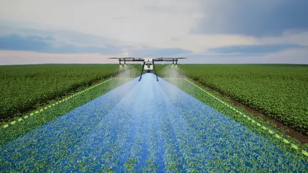 农业无人机使用激光雷达扫描在番茄田上喷洒肥料 智能耕作理念创新 3D渲染 免版税图库照片