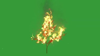 Yangın yeşil arka plandaki dalları yakıyor.