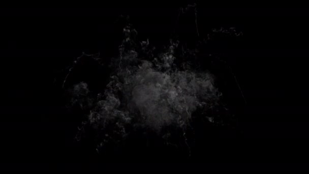 Foc Explozie Fundal Negru Canal Alfa — Videoclip de stoc