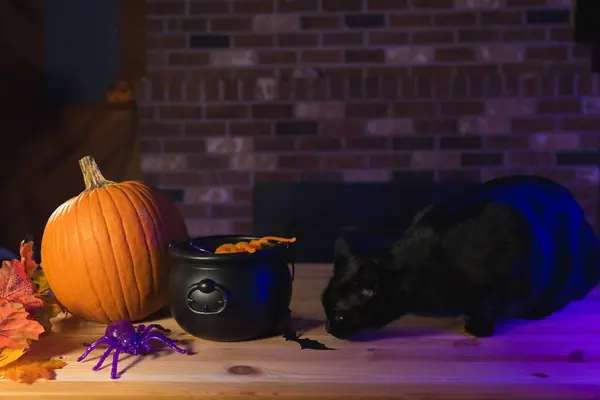 Spooky Halloween decorations on the table with a pumpkin and a witch cauldron