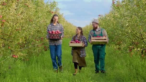 Eine Glückliche Und Zufriedene Familie Von Gartenbauern Geht Mit Kisten — Stockvideo