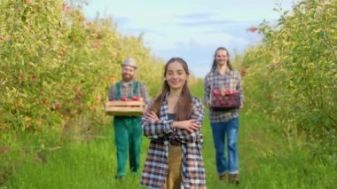 Ön manzara çiftçi gülümsemesi genç kadın, erkek işçiler elma taşırken göğsün arkasında el ele durur. Hasat kutular halinde toplanır, olgunlaşmıştır. Zengin bir elma bahçesi ve en iyi hasat. Aile çiftliği.