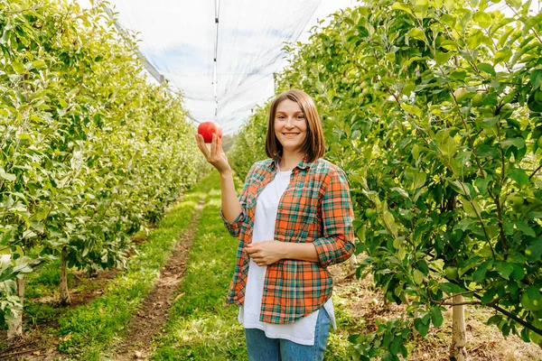 A woman farmer with an apple in her hands stands between even rows of fruit trees smiling. Happiness in the eyes of a girl with a short haircut and brown hair. Front view, looking camera.