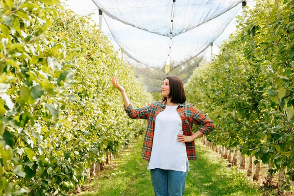 Front view copy space young adult girl woman in orchard one hand up second on hips smile slightly. Youth farmer worker stand in apple garden looking away showing something in checkered shirt.