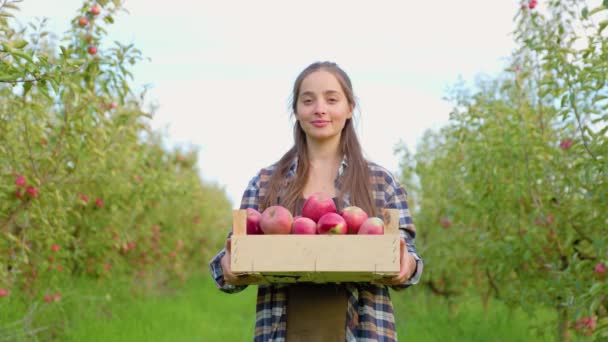 フロントビュー若い女性農家の庭農業長い髪スタンド幸せな笑顔素敵なホールドボックス赤リンゴ リンゴ園では 天気は作業日の終わりに良いです 澄んだ空の背景 — ストック動画