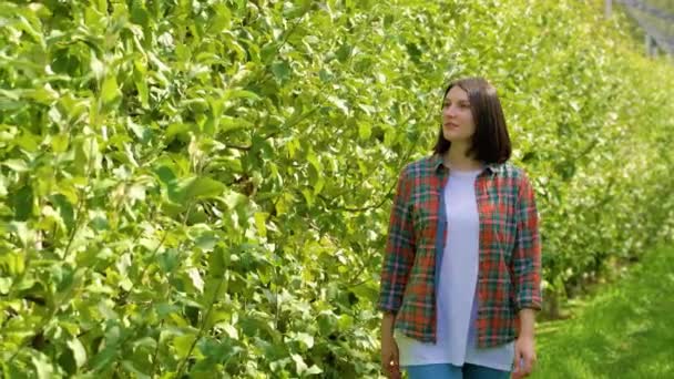 Joven Agricultora Camina Por Huerto Examinando Cuidadosamente Los Árboles Con — Vídeo de stock