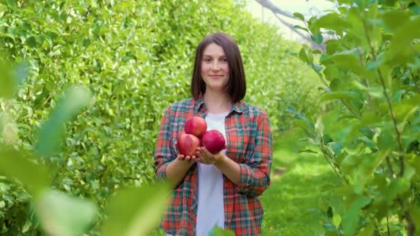 カメラを向けると若い女性農家が喜んで手に赤い熟した美しいリンゴを持って笑っていました 短い散髪と遊び心のある大人の女の子の農学者シャツ 収穫と農業の概念は — ストック動画