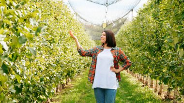 Öne bakan genç kadın çiftçi bir el yukarı, kalçada ikinci bir kol görünüyor. Meyve ağaçları konsepti yeşil ağaçlar kareli gömlek beyaz kot pantolon esmer saç. Boşluğu kopyala.