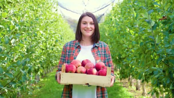 フロントビューのカメラを見て若い果樹園の農家の女性笑みを浮かべて手に赤いリンゴの箱を保持します 幸せな大人の女の子とともにショットヘアカットチェックTシャツ 白いシャツ 楽しい顔 — ストック動画