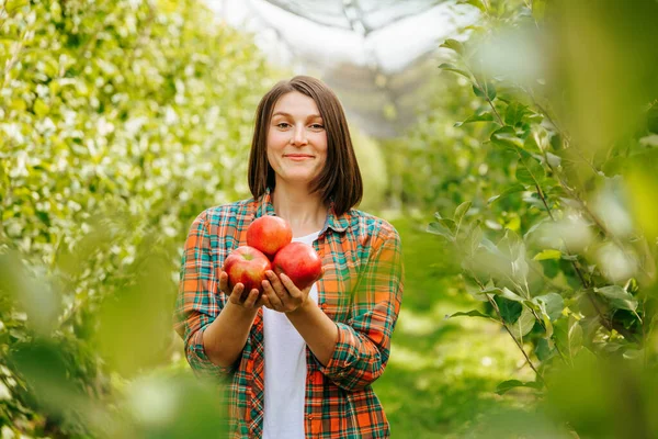 Fond Flou Jeune Agricultrice Dans Verger Fruits Tenant Trois Pommes — Photo