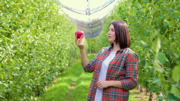 Красиве Червоне Стигле Яблуко Тримає Руці Молода Жінка Фермер Дивлячись — стокове відео