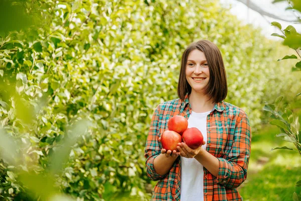 Joyeux Jardinier Jeune Femme Tient Joyeusement Les Pommes Cueillies Dans — Photo