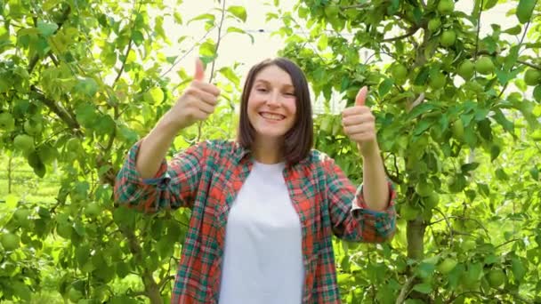 若い現役女性農家がリンゴ園に立ちながら両手で親指を立てている 笑みを浮かべて顔 シャツ 白いTシャツを果たした 果樹園の木の滑らかな列 スペースのコピー — ストック動画