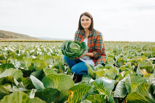 stock image Front view copy space looking at camera young woman farmer squats holding a head of cabbage in her hand. A good working day, the harvest has come to an end. Farming concept family agribusiness.