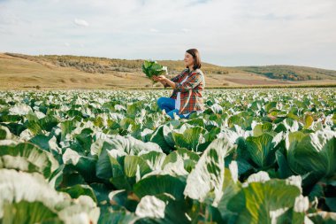 Önünde bir lahana kafasını tutarak gururla çömelmiş kadın bir çiftçinin yan görüntüsü. Ufuk çizgisi görünüyor. Saha çalışması için harika bir gün. Lahana sıraları bile büyük bir tarla oluşturur..