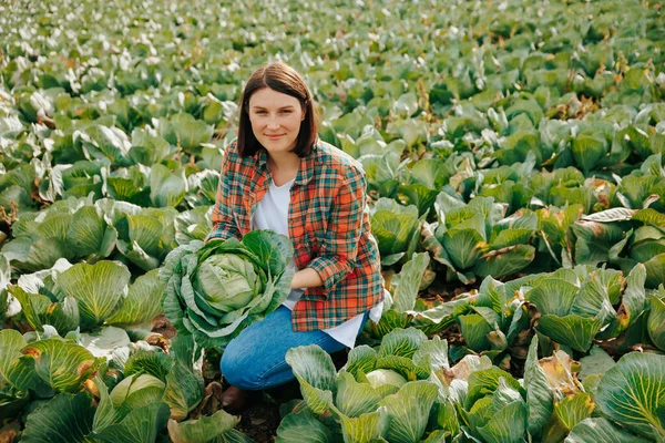 Fond Grand Champ Légumes Une Jeune Agricultrice Est Accroupie Avec — Photo