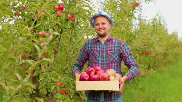 彼の手に熟したリンゴの箱とカメラの大人の男性労働者の農家を見てフロントビュー カメラで微笑むことは 果樹園での良い収穫を喜びます リンゴの庭には果物がいっぱいです — ストック動画
