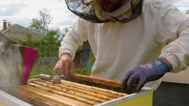 Μελισσοκόμος Προστατευτική Στολή Στο Μελισσοκομείο Βγάζει Τις Κηρήθρες Από Την — Αρχείο Βίντεο