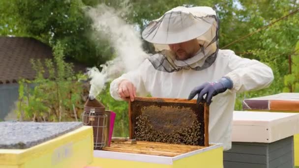 Een Boer Een Beschermend Pak Werkt Met Honingraten Een Grote — Stockvideo