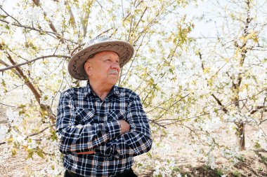 Bahar kollarında meyve bahçesinde şapkalı yaşlı bir erkek portresi. Bahçe ağacı olan yaşlı bir adam ve meyve bahçesinde ellerini çaprazlayarak sana gülümsüyor.