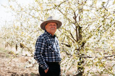 Şapkalı yaşlı çiftçi ellerini cebine sokuyor. İlkbaharda, çiçek bahçesinin arka planında.