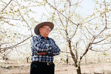 Şapkalı yaşlı çiftçinin portresi ellerini çapraz yapıyor. Arka planda çiçek bahçeleri var. Kollarını kavuşturmuş çiftçi