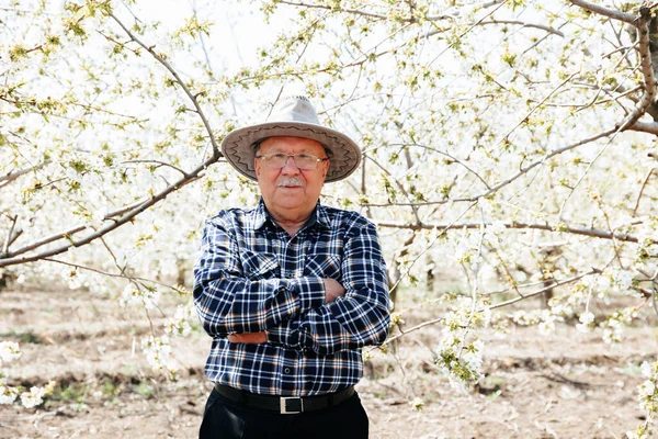 Portrait of old male with hat in orchard in spring arms crossed. senior man with gardening tree and smiling at you with hands crossed in orchard