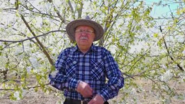 Şapkalı yaşlı çiftçi çiçek bahçesinin ortasında yürür. Yaşlı çiftçi kolları çaprazlanmış kırsal alanda poz veriyor.