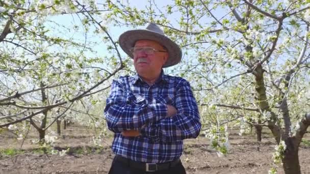 Ein Zufriedener Landwirt Mit Hut Drückt Die Hände Über Dem — Stockvideo