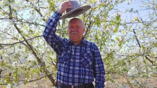 上級農家は帽子をかぶって果樹園を歩く シニア魅力的な農家の仕事の肖像 — ストック動画