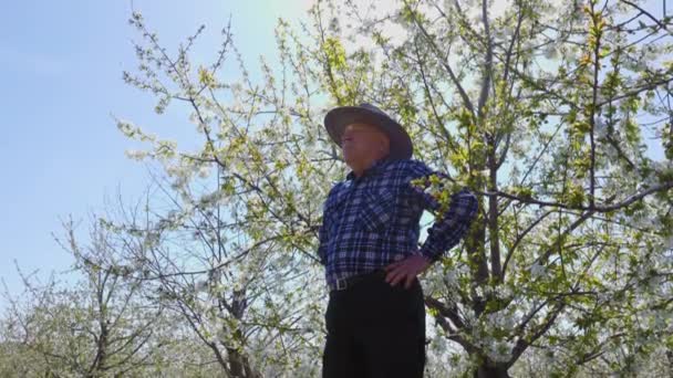 帽子をかぶった古い農家はベルトに手を置く 春の開花期の果樹園を背景に — ストック動画