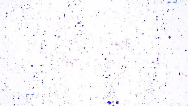 Рідка Фарба Змішування Фону Бризкою Вихром Сучасний Дизайн Абстракційної Форми — стокове відео