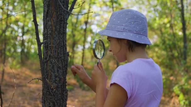 Cute Adorable Caucasian Girl Kid Looking Tree Forest Magnifying Glass — Vídeo de Stock