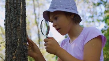 little child naturalist botanist with a magnifying glass is surprised and shocked explores the tree bark. kid with a hat in the forest and a magnifying glass wow, he discovers the insects