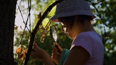 Cute adorable Caucasian girl kid looking at tree in forest through magnifying glass. Children friends siblings with loupe studying learning nature outside. Child education concept.