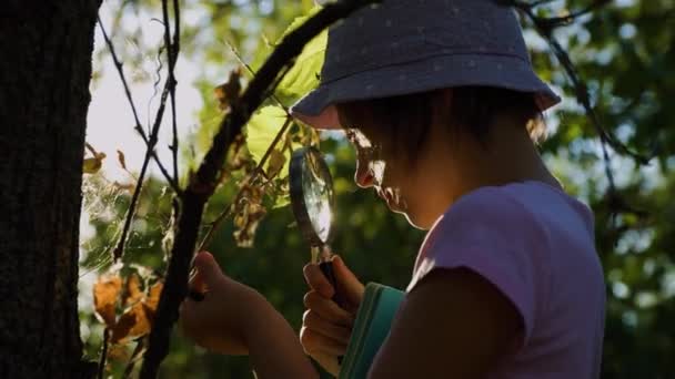 Cute Adorable Caucasian Girl Kid Looking Tree Forest Magnifying Glass — ストック動画